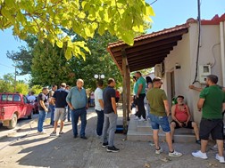 Σε απόγνωση οι κτηνοτρόφοι